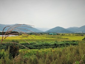 浙江常山旅游，山水间的诗画之旅